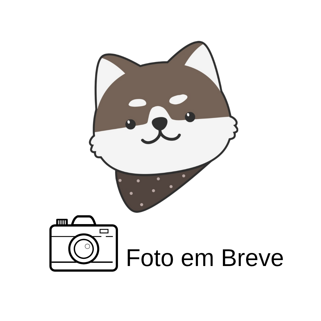 SHIBA INU