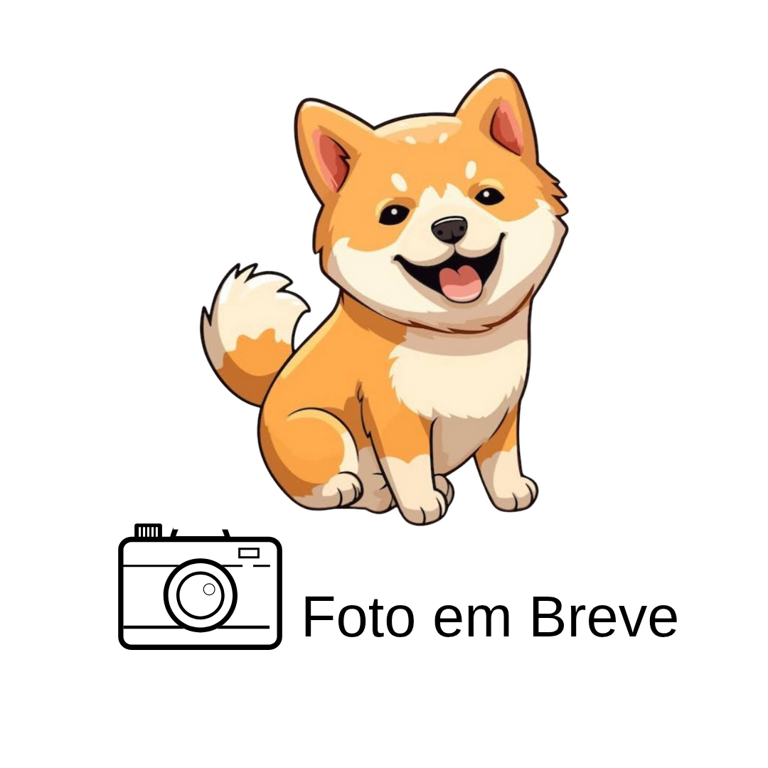 SHIBA INU
